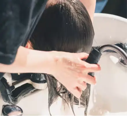 メイン画像・pre